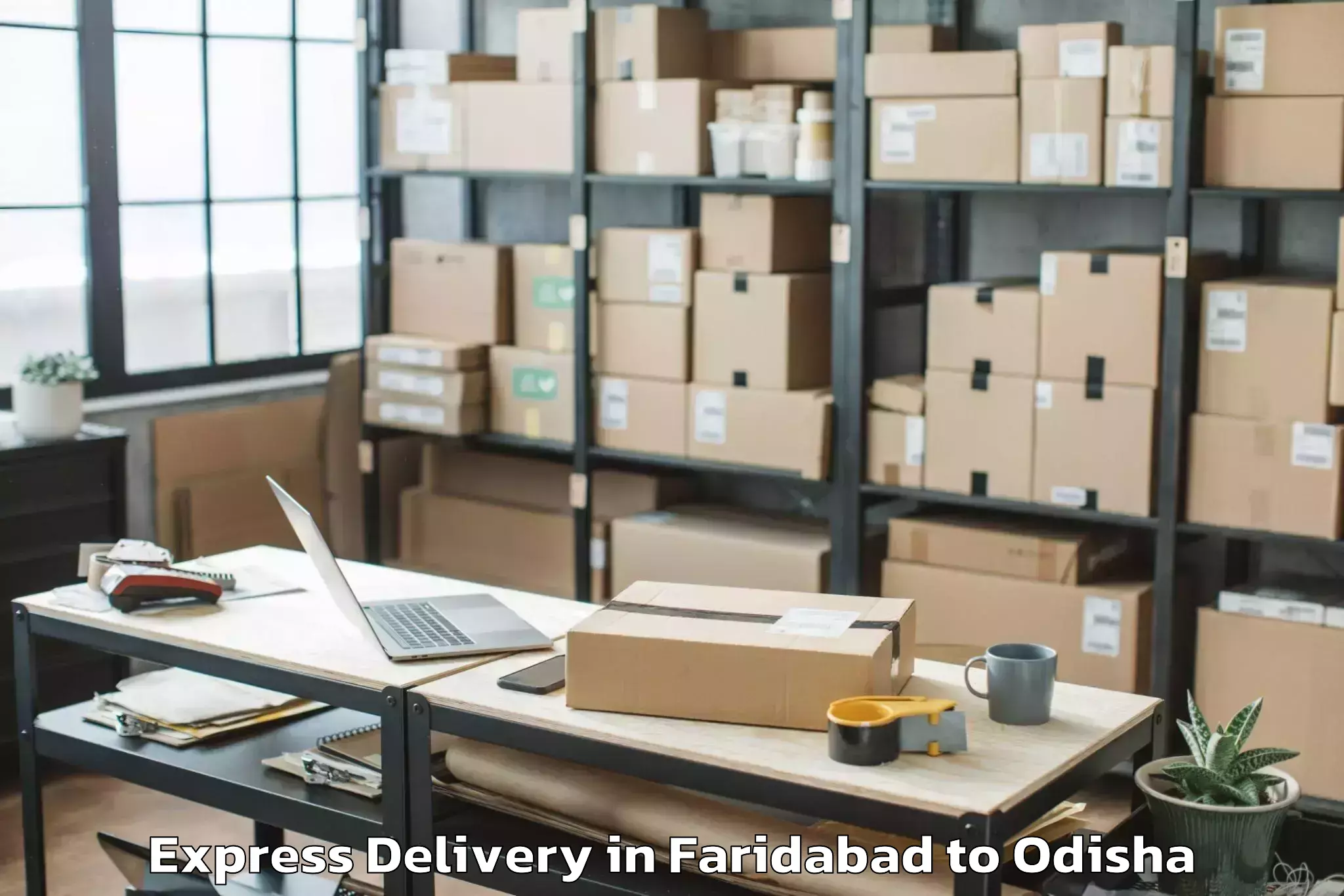 Top Faridabad to Dhamara Express Delivery Available